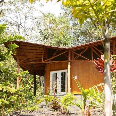 Kalani Oceanside Retreat Villa Pahoa Dış mekan fotoğraf