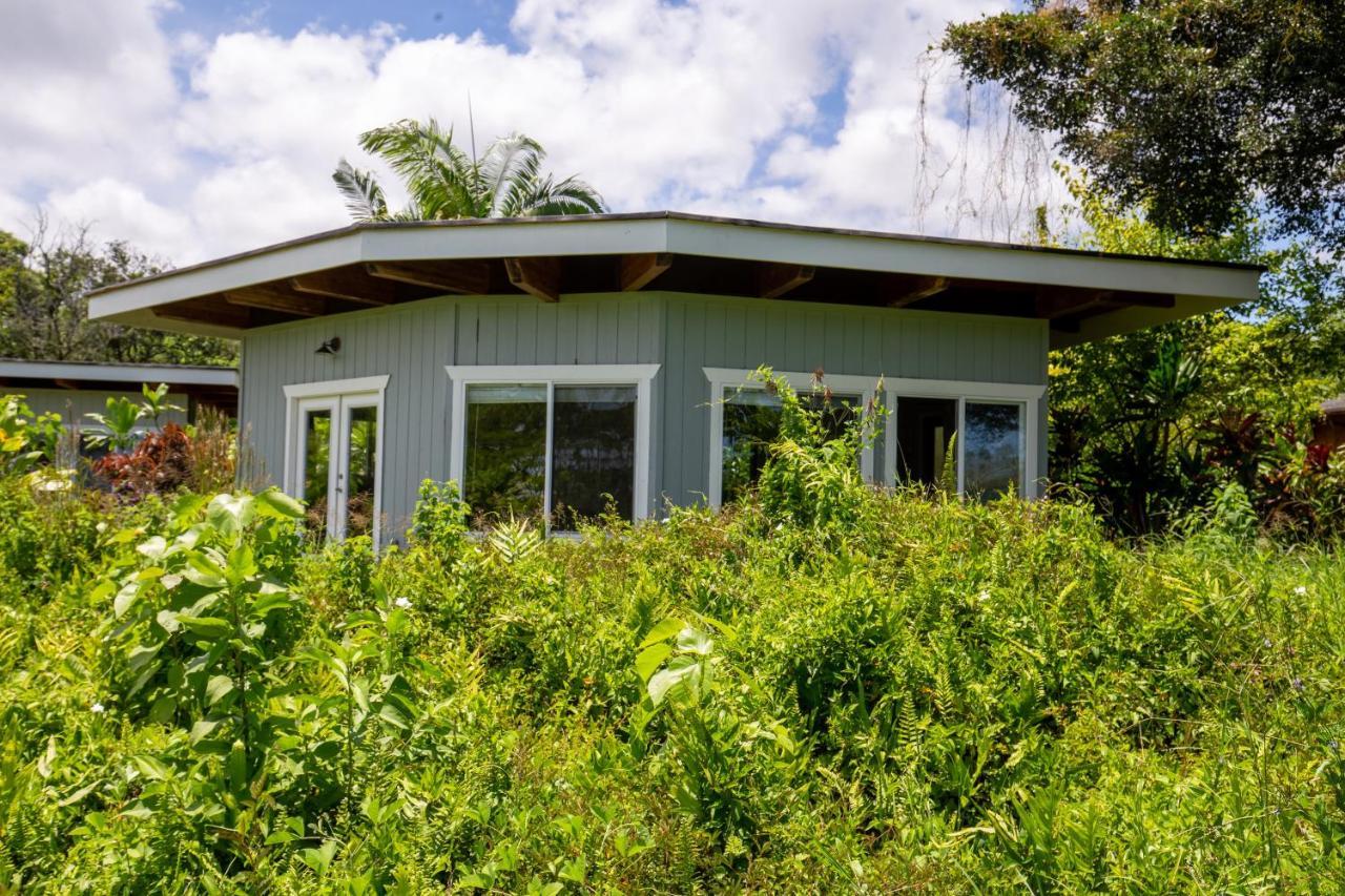 Kalani Oceanside Retreat Villa Pahoa Dış mekan fotoğraf
