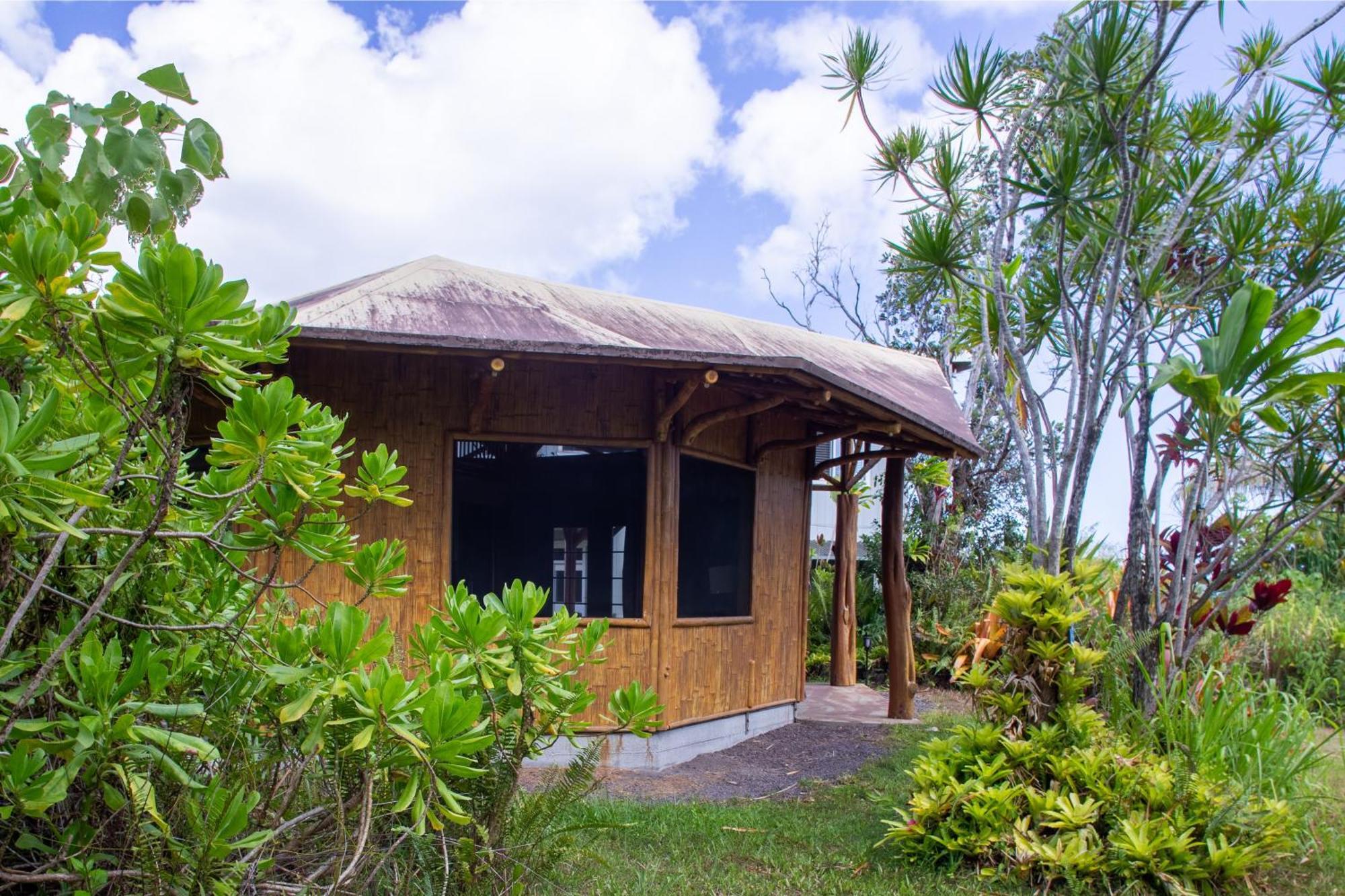 Kalani Oceanside Retreat Villa Pahoa Dış mekan fotoğraf